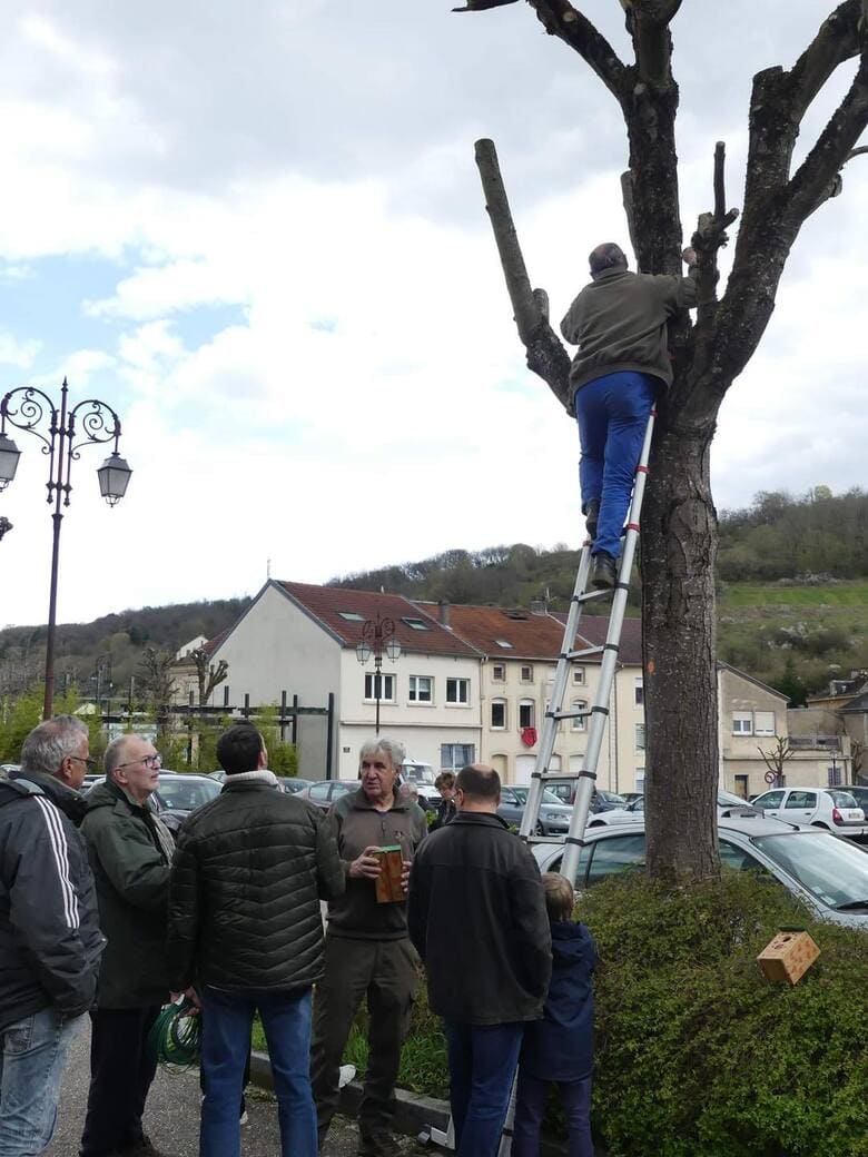 Pose de nichoirs à mésanges