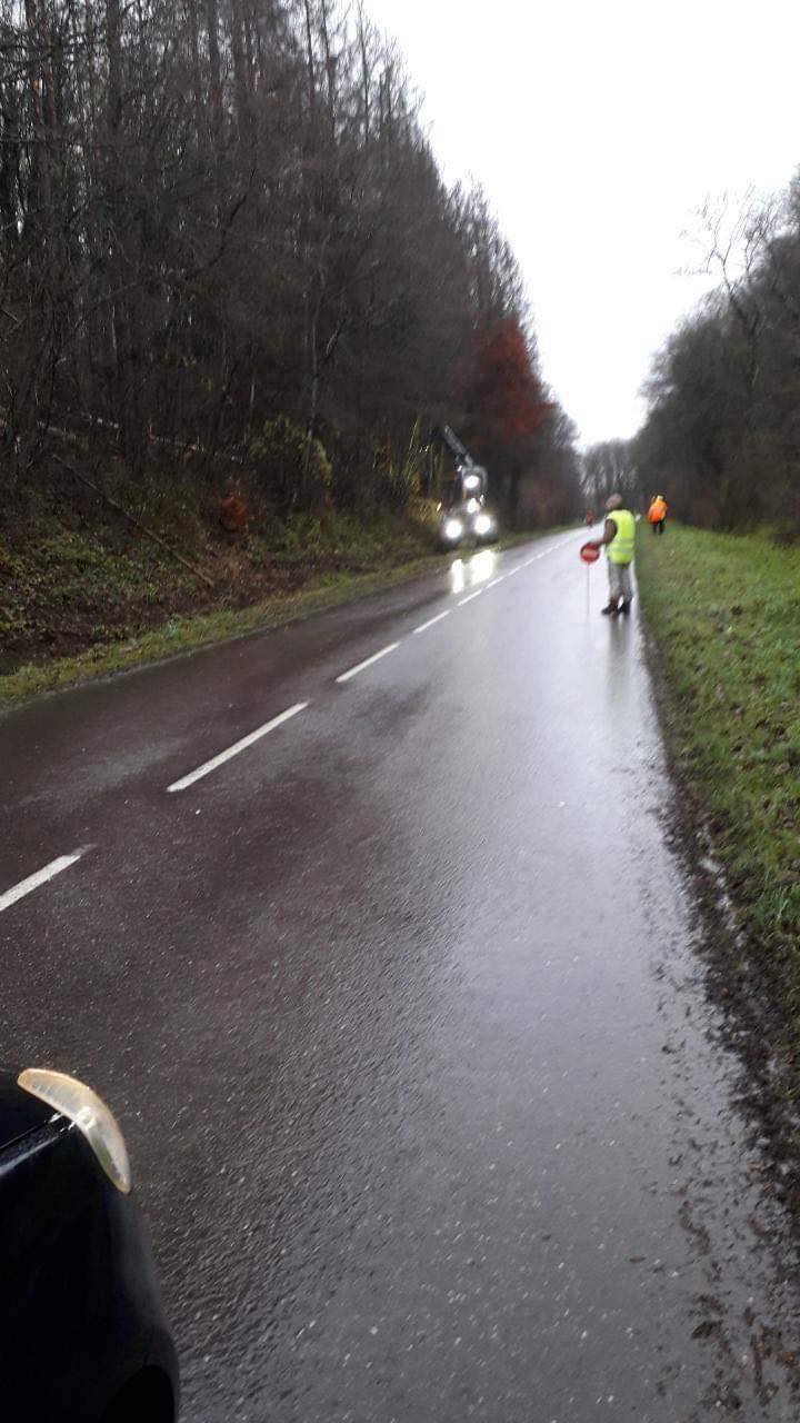 363376510_600122282202589_1223109429586095269_n