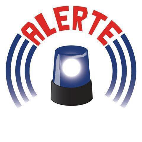 431575680_725141183034031_189250206227633193_n