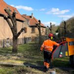 Campagne annuelle d’élagage des arbres.