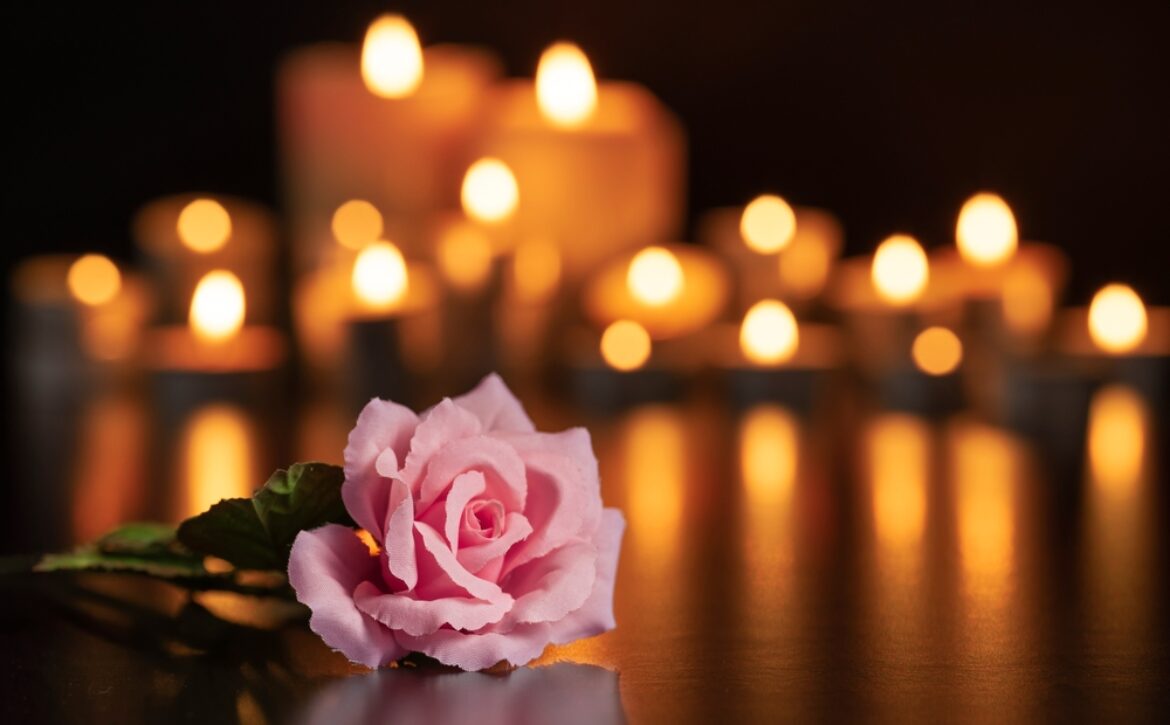 Pink,Rose,Focused,On,The,Grave,And,Lighted,Candles,Unfocused