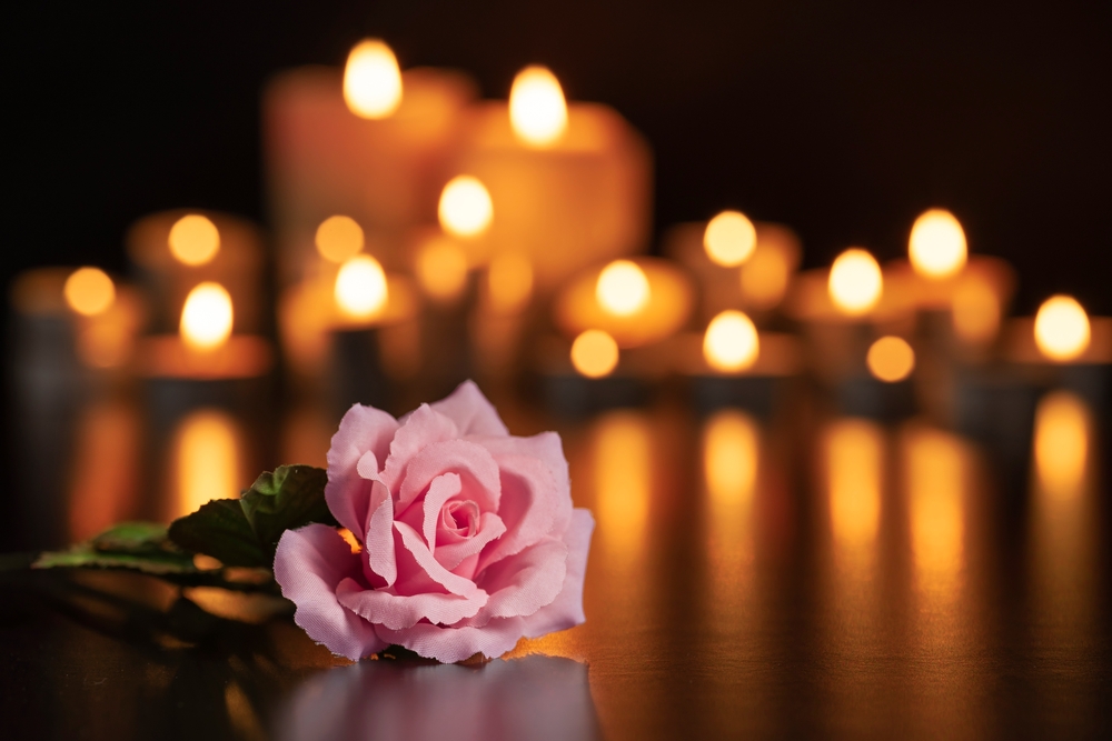 Pink,Rose,Focused,On,The,Grave,And,Lighted,Candles,Unfocused
