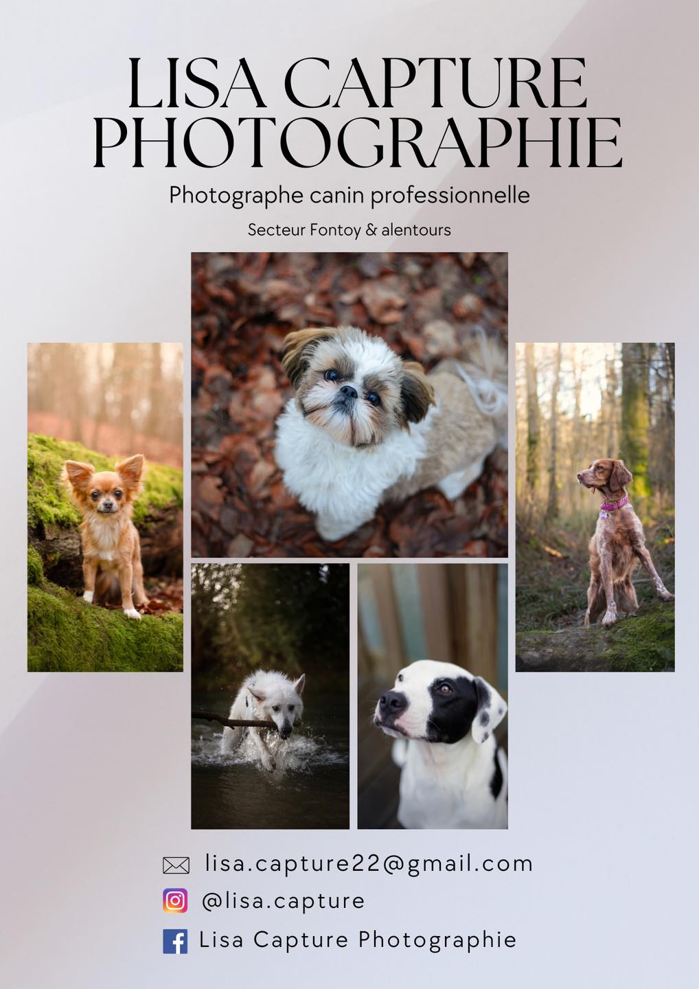 475057248_913026397578841_5783232925342197432_n