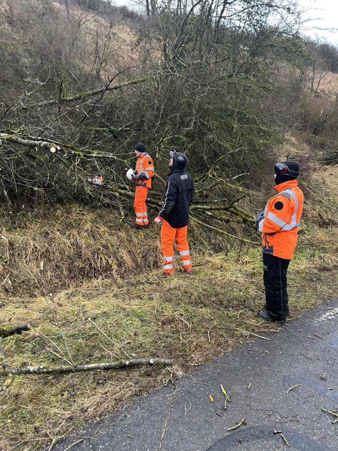 475985150_916021127279368_6398133854777067104_n