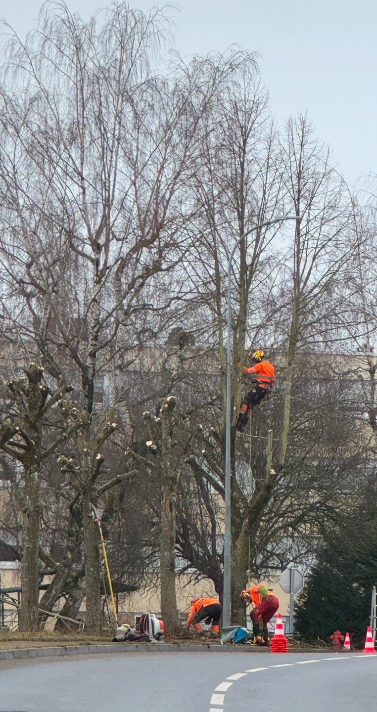 476453880_919220616959419_4905811560082722707_n