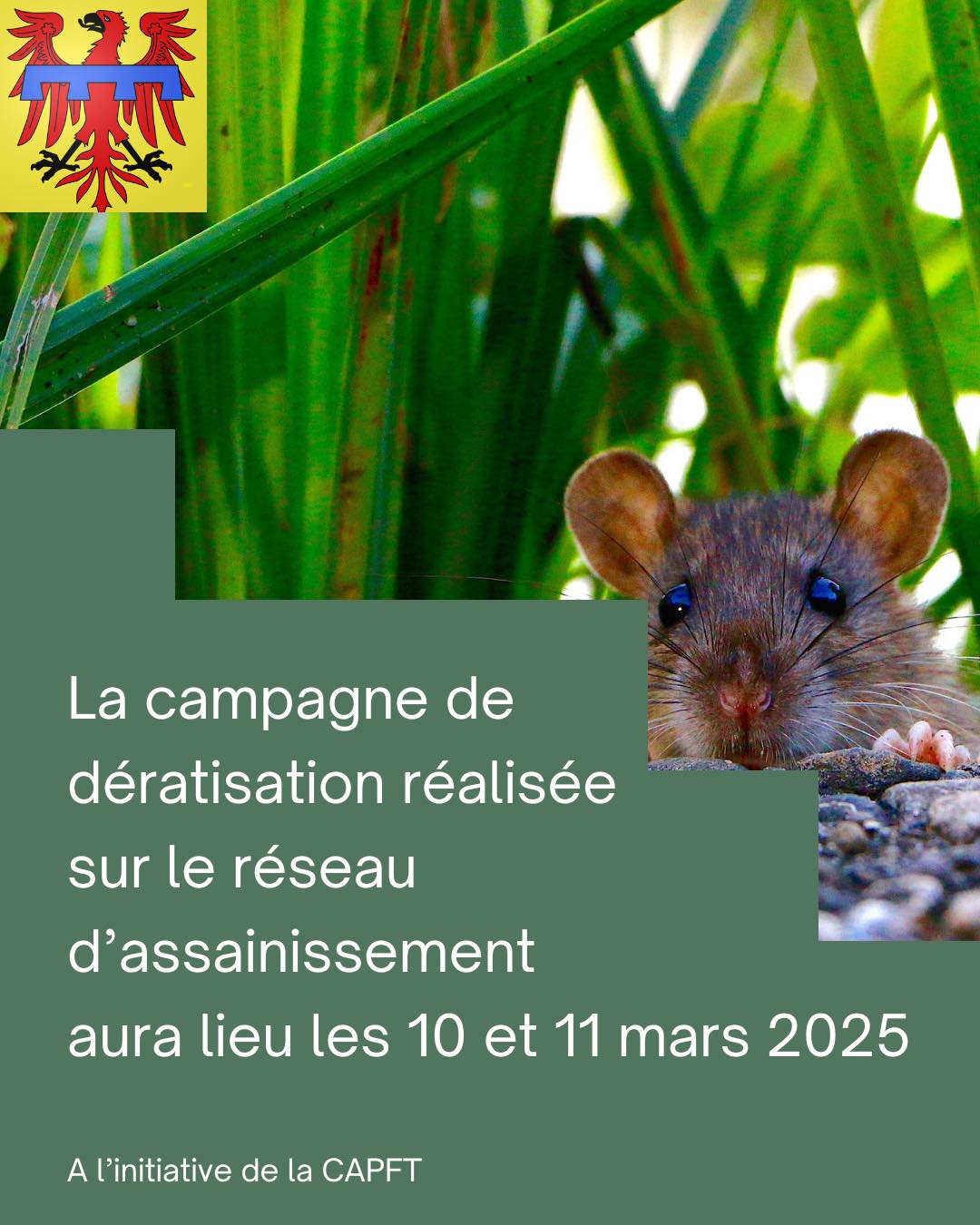 480619700_932586282289519_2449124986279729201_n