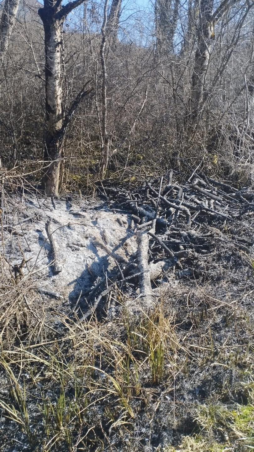 481767160_937406935140787_1019801199964537271_n