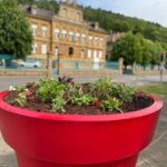 Le printemps fleurit Fontoy : un grand merci à nos équipes !