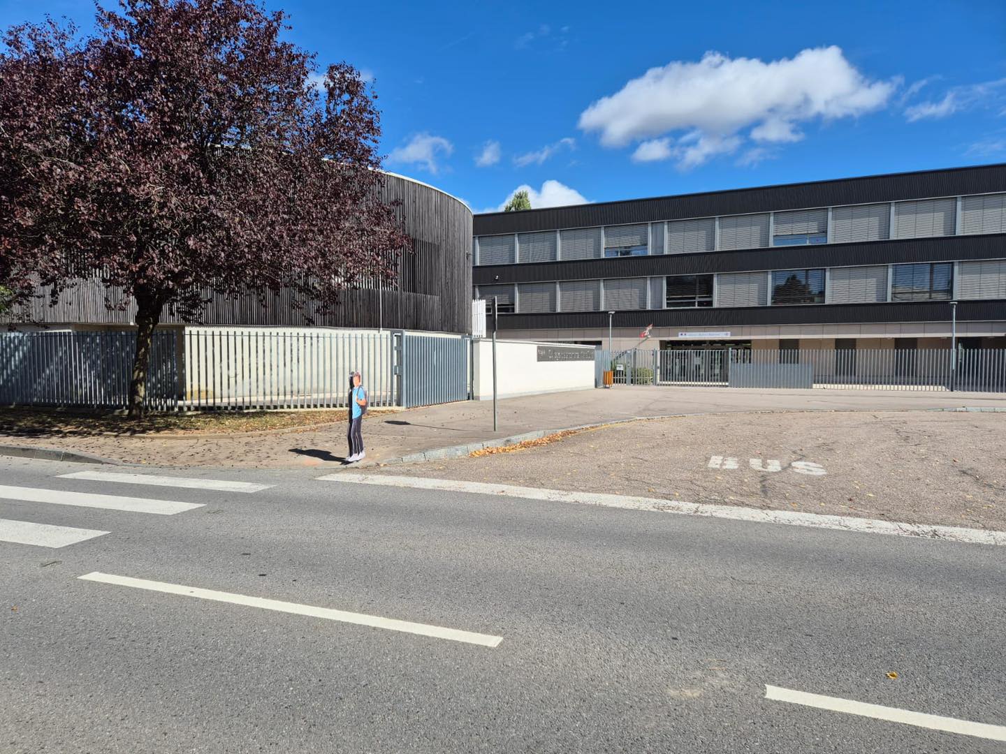 539955910_1066358492245630_300600706397345464_n