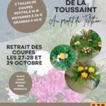 Coupes de la Toussaint.