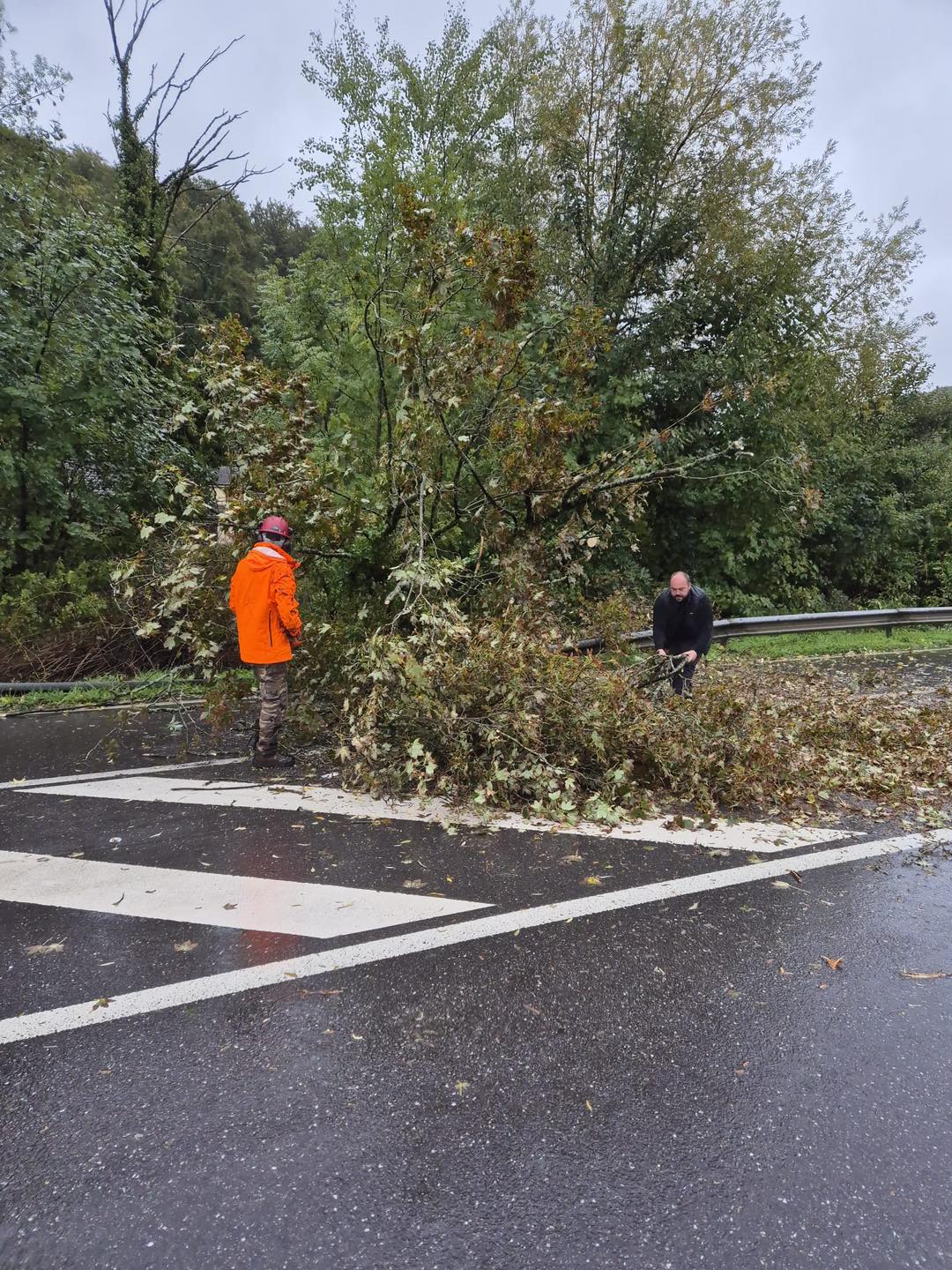 558209175_1093772116170934_6214259823993001186_n