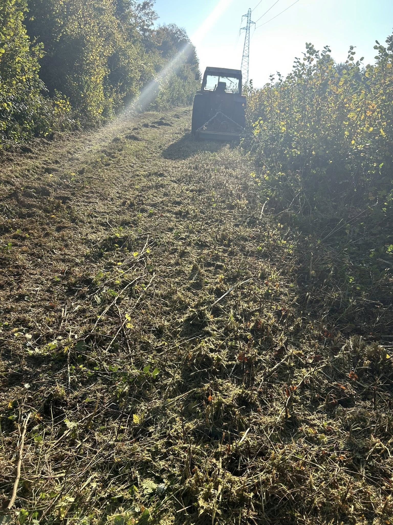 560301935_1392936559021828_6599159381623406354_n