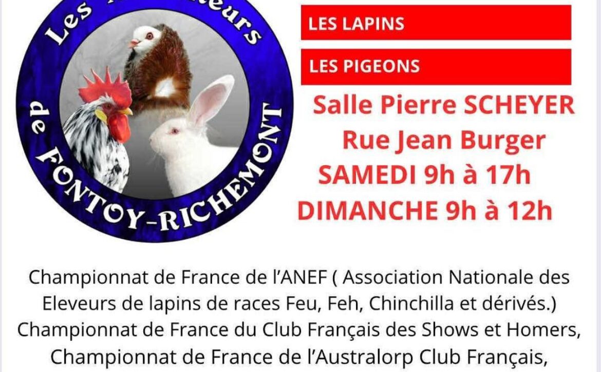 571186219_1114339547447524_2134643833128079070_n