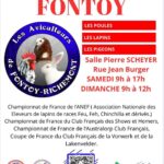 Ce week-end à Fontoy : Exposition Avicole !