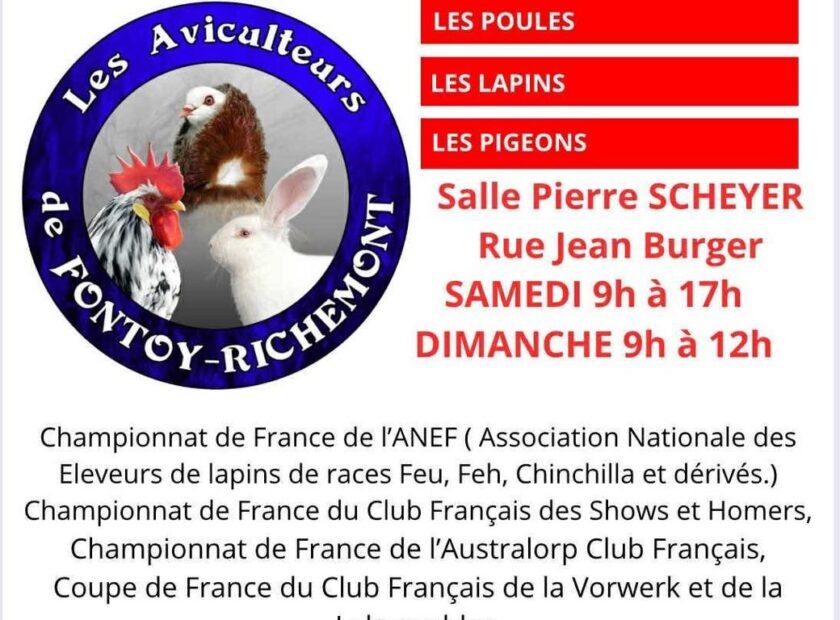 571186219_1114339547447524_2134643833128079070_n