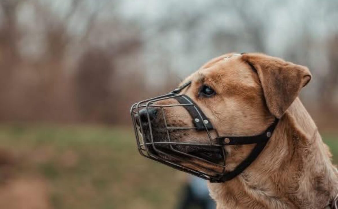 584526581_1130491062499039_3937371322872059444_n