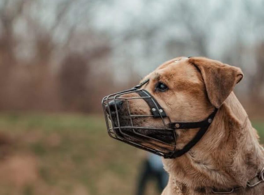 584526581_1130491062499039_3937371322872059444_n