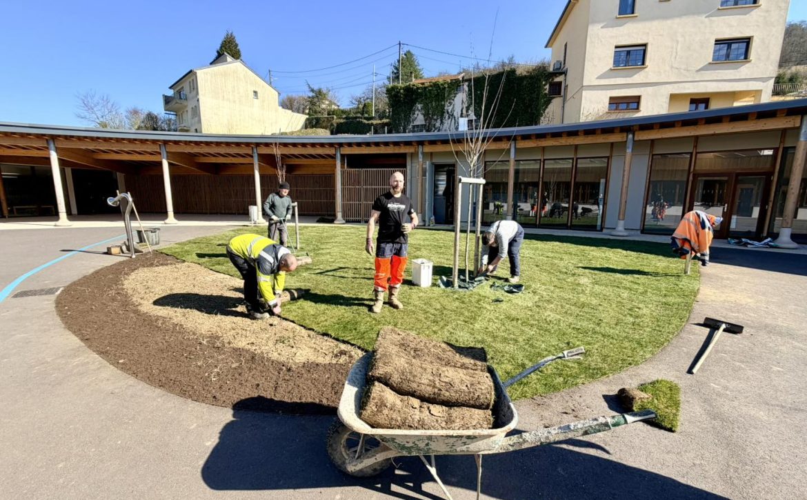 645420439_1209300811284730_6076306009641208438_n