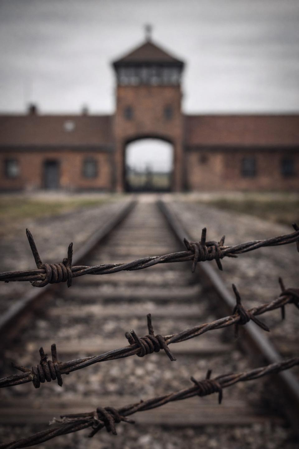 669588513_1238751758339635_1669412438778309859_n