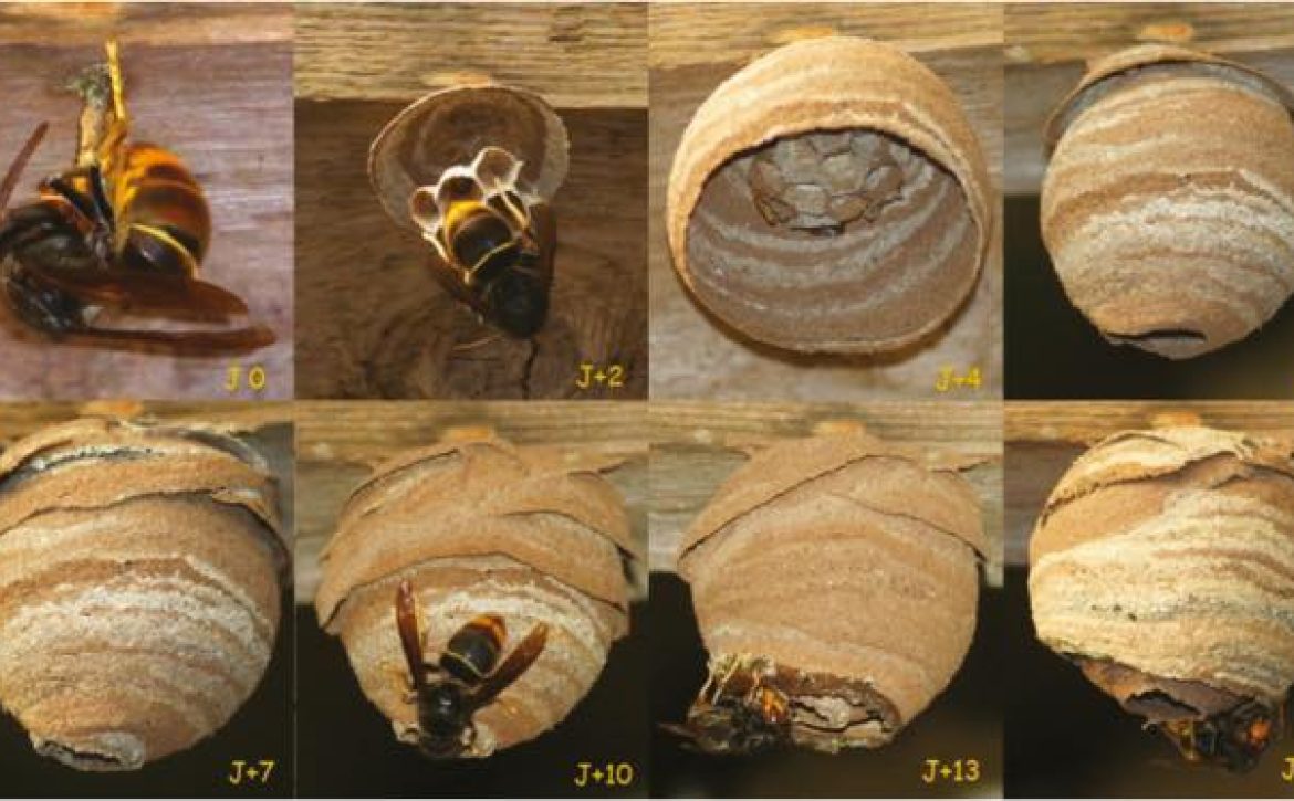 670478015_1238744271673717_4025648801577309215_n