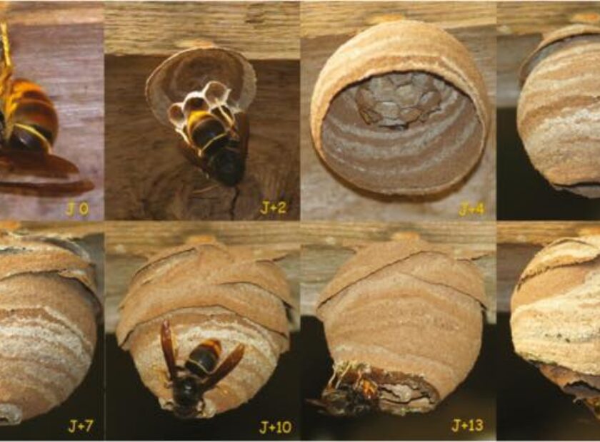 670478015_1238744271673717_4025648801577309215_n