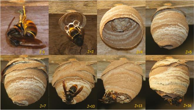 670478015_1238744271673717_4025648801577309215_n